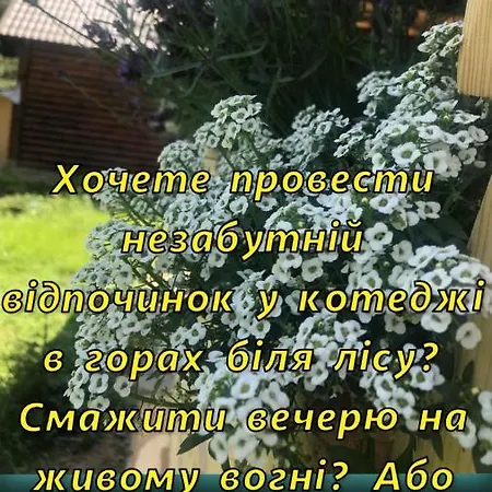 Апартаменты Lavanda окремий з каміном *