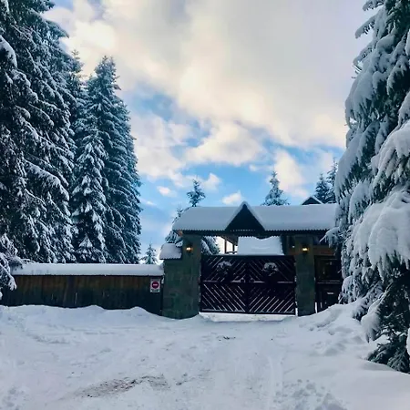 Apartment Lavanda окремий з каміном Bukovel