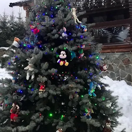 Lavanda окремий з каміном