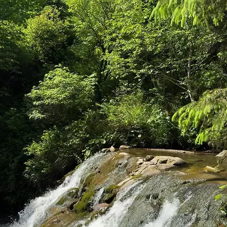 Lavanda окремий з каміном Apartamento Bukovel