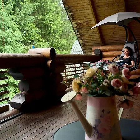 Lavanda окремий з каміном Appartement Boekovel