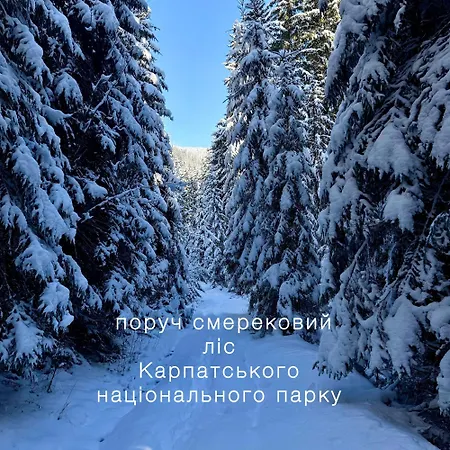 Lavanda окремий з каміном