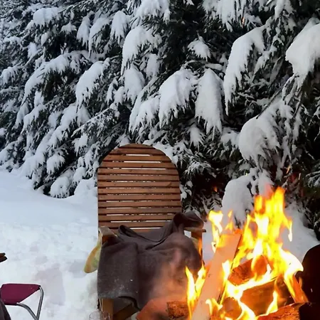 Lavanda окремий з каміном Appartement Boekovel