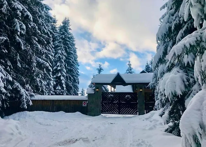Apartman Lavanda окремий з каміном Bukovel