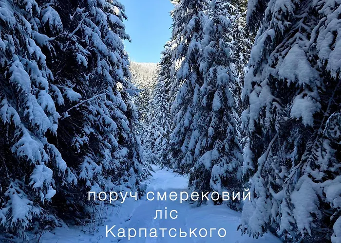 Lavanda окремий з каміном