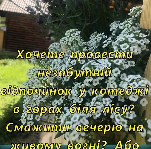 Appartement Lavanda окремий з каміном *